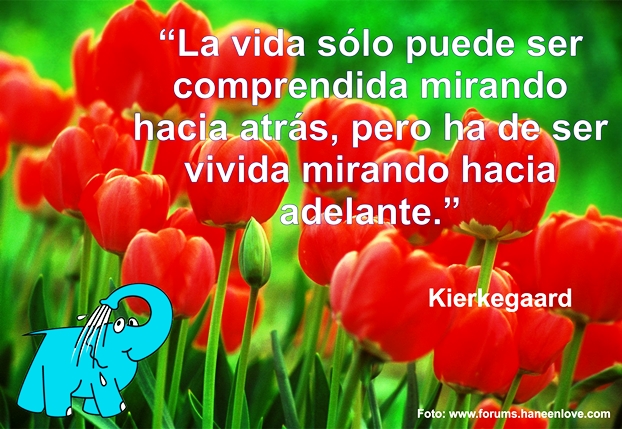 Una Enseñanza de Kierkegaard sobre La Vida, en La Frase del Día del Elefante Azul de Avilés